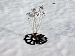 Zeichen mit Pflanze 2006 o.T., Acrylbinder, schwarzes Pigment, Pflanze, Schnee