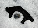 Zeichen mit Stein und Schnee 2006 o.T., Acrylbinder, schwarzes Pigment, Schnee, Stein